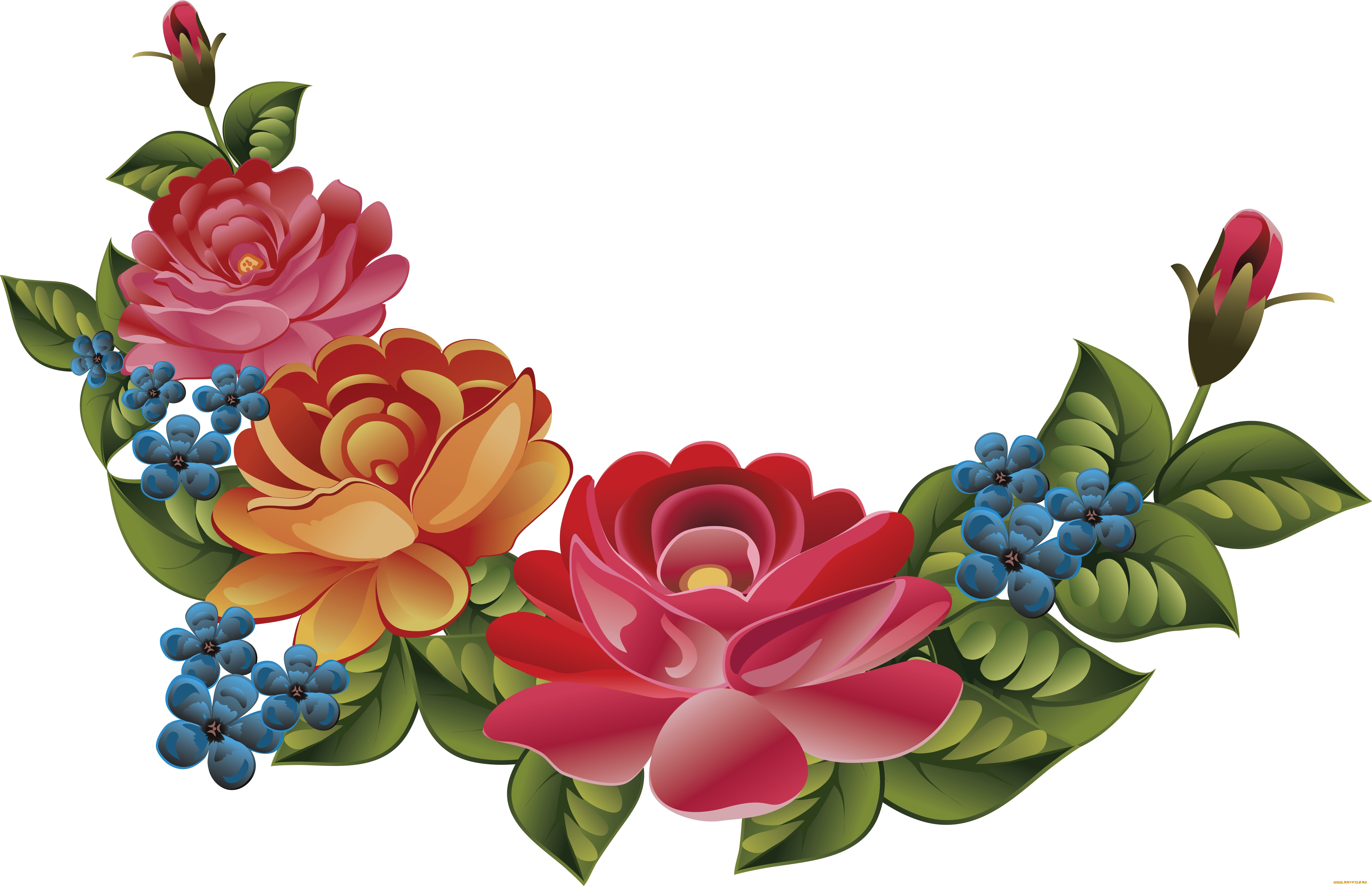  ,  , flowers, , 